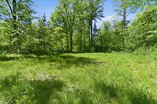 W14906 County Road J, Deerbrook, WI 54424 - Photo 58