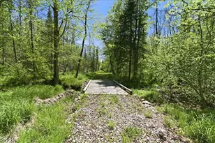 W14906 County Road J, Deerbrook, WI 54424 - Photo 54