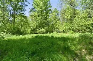 W14906 County Road J, Deerbrook, WI 54424 - Photo 56