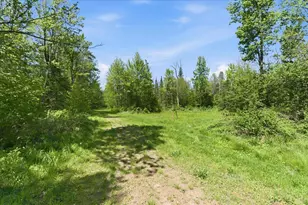 W14906 County Road J, Deerbrook, WI 54424 - Photo 52