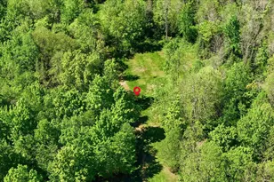 W14906 County Road J, Deerbrook, WI 54424 - Photo 78