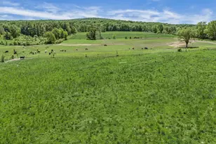 E9837 County Rd W Rd, North Freedom, WI 53913 - Photo 44