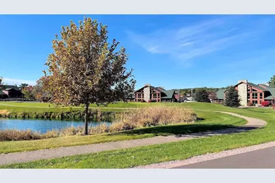 350 E Hiawatha Drive #324, Lake Delton, WI 53965 - Photo 76