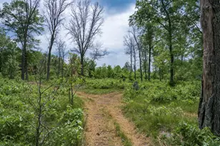 N9790 16th Ave, Necedah, WI 54646 - Photo 46