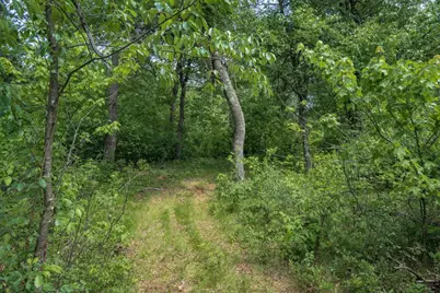 N9790 16th Avenue, Necedah, WI 54646 - Photo 48