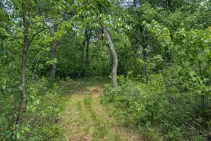 N9790 16th Ave, Necedah, WI 54646 - Photo 48