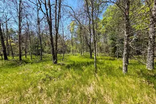 W5981 9th St, Necedah, WI 54646 - Photo 6