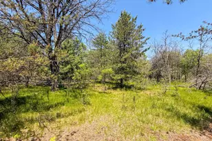 W5981 9th St, Necedah, WI 54646 - Photo 48