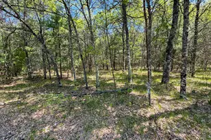 W5981 9th St, Necedah, WI 54646 - Photo 50