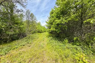 W5981 9th St, Necedah, WI 54646 - Photo 62