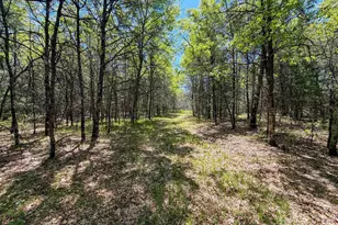W5981 9th St, Necedah, WI 54646 - Photo 4