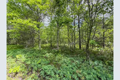 W5981 9th Street, Necedah, WI 54646 - Photo 64