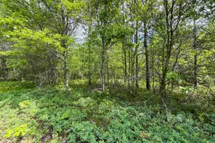 W5981 9th St, Necedah, WI 54646 - Photo 64