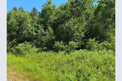2.5 Acres County Road C, Arkdale, WI 54613 - Photo 2