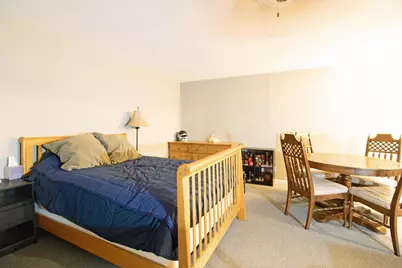 315 Williams Street, Arena, WI 53503 - Photo 28