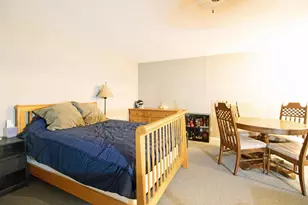 315 Williams St, Arena, WI 53503 - Photo 28