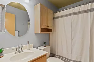 6302 Dylyn Dr, Madison, WI 53719 - Photo 26