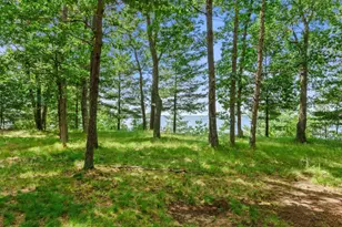 1860 Badger Ct, Arkdale, WI 54613 - Photo 52