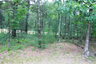 931 E Trout Valley Rd, Friendship, WI 53934 - Photo 22