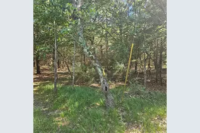 Lot 1 Woodland Avenue, Montello, WI 53949 - Photo 4