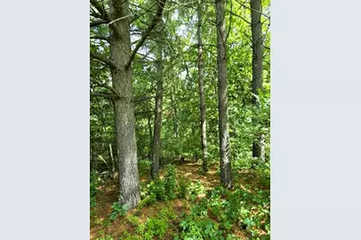 13106 Hwy 131, Clayton, WI 54655 - Photo 26