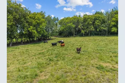 N2954 N Kearley Road, Markesan, WI 53946 - Photo 68