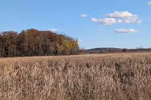 N3126 Oak Rd, Markesan, WI 53946 - Photo 38