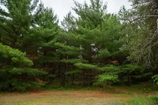 1123 County Rd C, Arkdale, WI 54613 - Photo 60