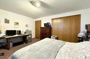 703 Meadowview Ln, Lodi, WI 53555 - Photo 44