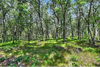 732 W 15th Drive, Nekoosa, WI 54457 - Photo 56