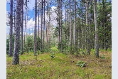 5.6 Acres 16th Avenue, Arkdale, WI 54613 - Photo 18