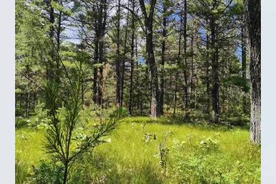 5.6 Acres 16th Avenue, Arkdale, WI 54613 - Photo 2