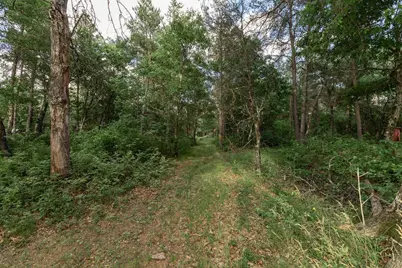 1172 W 13th Court, Arkdale, WI 54613 - Photo 18