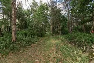 1172 W 13th Ct, Arkdale, WI 54613 - Photo 18