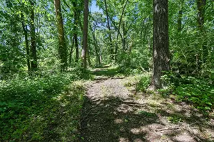 7040 Loy Rd, Arena, WI 53503 - Photo 68