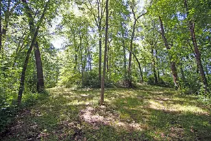 7040 Loy Rd, Arena, WI 53503 - Photo 74