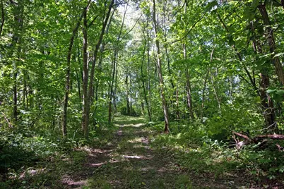 7040 Loy Road, Arena, WI 53503 - Photo 72