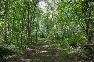 7040 Loy Rd, Arena, WI 53503 - Photo 72
