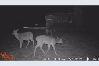S6053 South Shore Road, Baraboo, WI 53913 - Photo 18