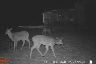 S6053 S Shore Rd, Baraboo, WI 53913 - Photo 18