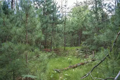 Lot 49 &amp; Ol 7 13th Drive, Friendship, WI 53934 - Photo 26