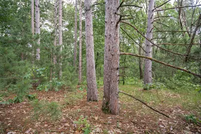 Lot 49 &amp; Ol 7 13th Drive, Friendship, WI 53934 - Photo 20