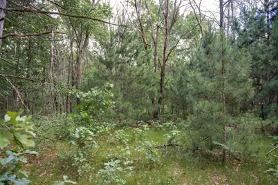 Lot 49 &amp; Ol 7 13th Drive, Friendship, WI 53934 - Photo 24
