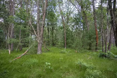 Lot 49 &amp; Ol 7 13th Drive, Friendship, WI 53934 - Photo 28