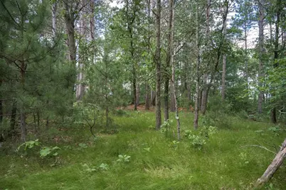 Lot 49 &amp; Ol 7 13th Drive, Friendship, WI 53934 - Photo 12