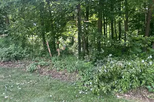 Lots 10 &amp 11 Oak Hill Estate East St, Mauston, WI 53948 - Photo 1