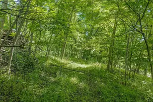 29131 County Hwy E Rd, Muscoda, WI 53573 - Photo 14