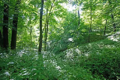 76 Acres Skyline Road, Blue River, WI 53518 - Photo 24