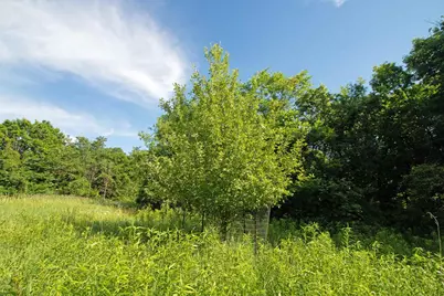 76 Acres Skyline Road, Blue River, WI 53518 - Photo 34