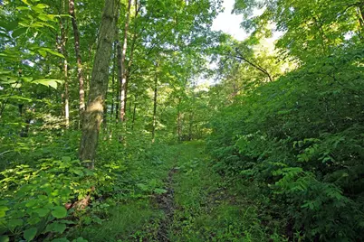 76 Acres Skyline Road, Blue River, WI 53518 - Photo 8